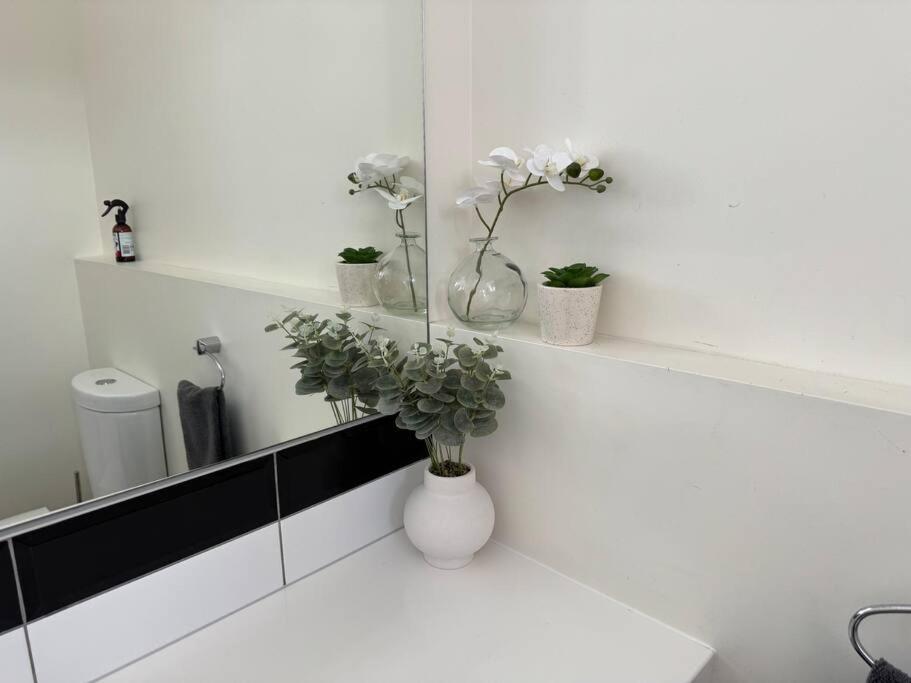 4 Large Bedroom Apartment In The City Hastings Eksteriør bilde